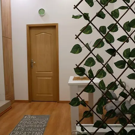 Apartment Cozy Place